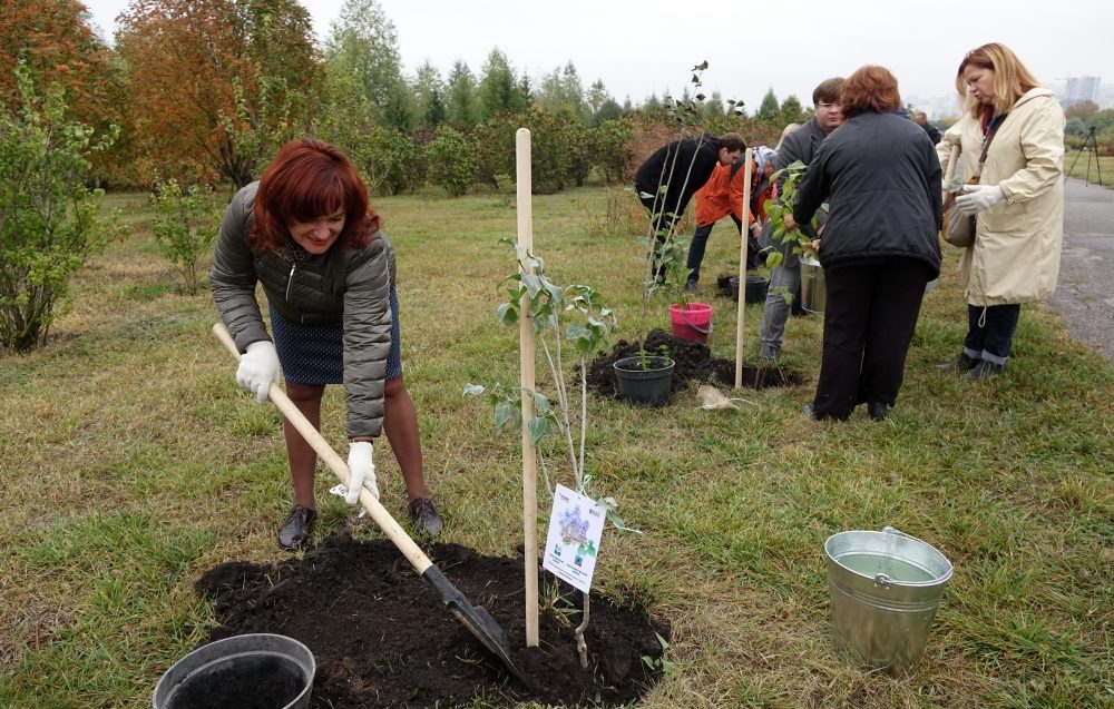 журналисты_сирень48